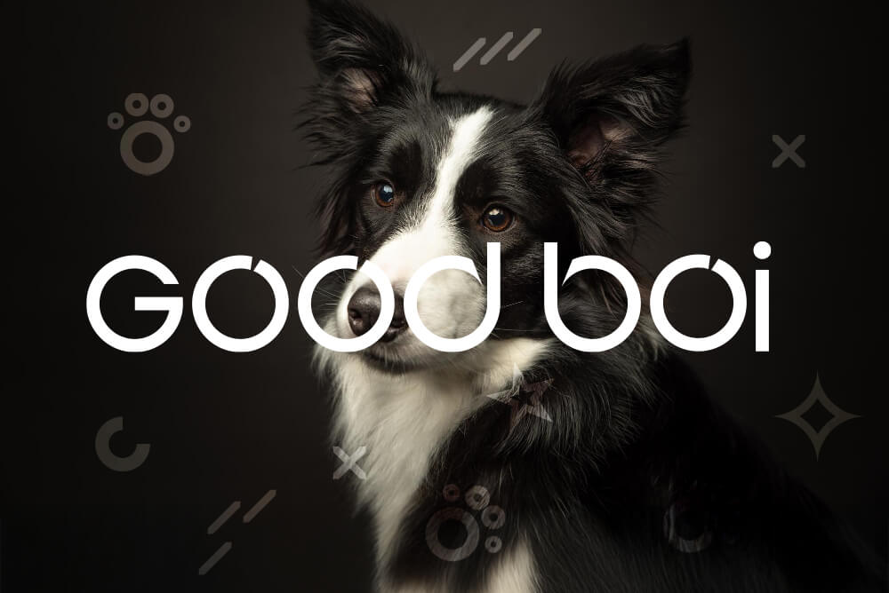 good boi_logo