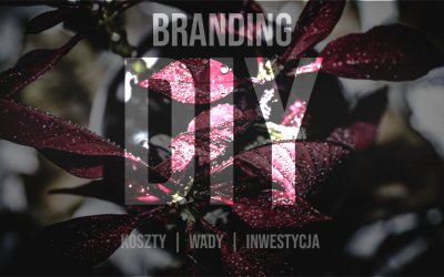 Dlaczego DIY branding kosztuje więcej, niż myślisz